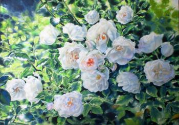 Bush of white roses