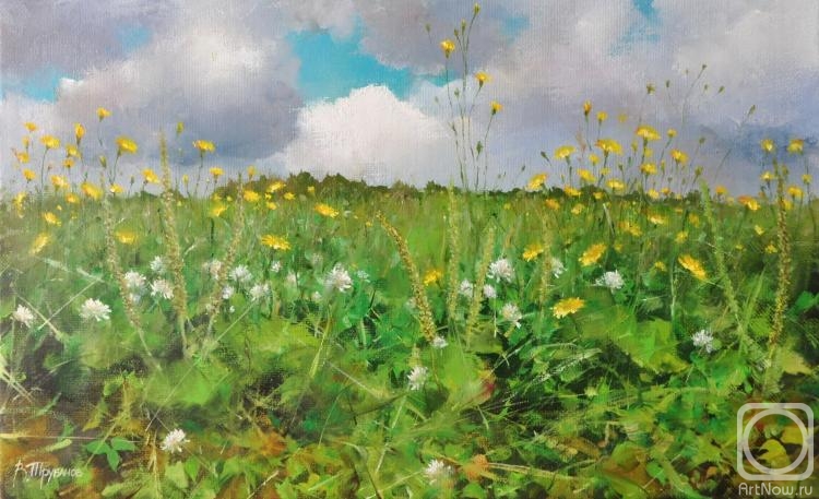 ������� ������ �� ������. �������� �������. ������� ����