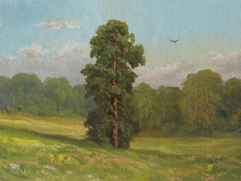 Lonely pine. Summer sketch. Lyamin Nikolay
