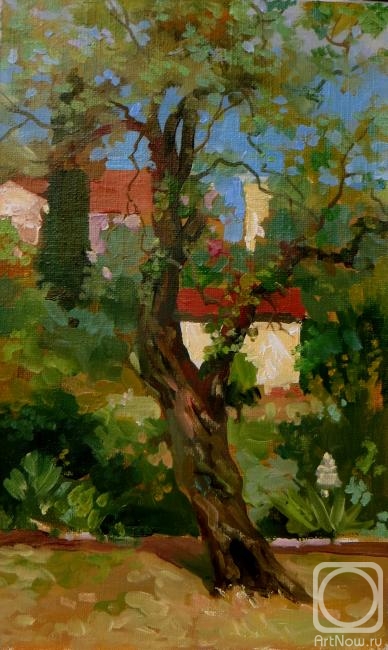 Volkov Sergey. Olive tree (etude)