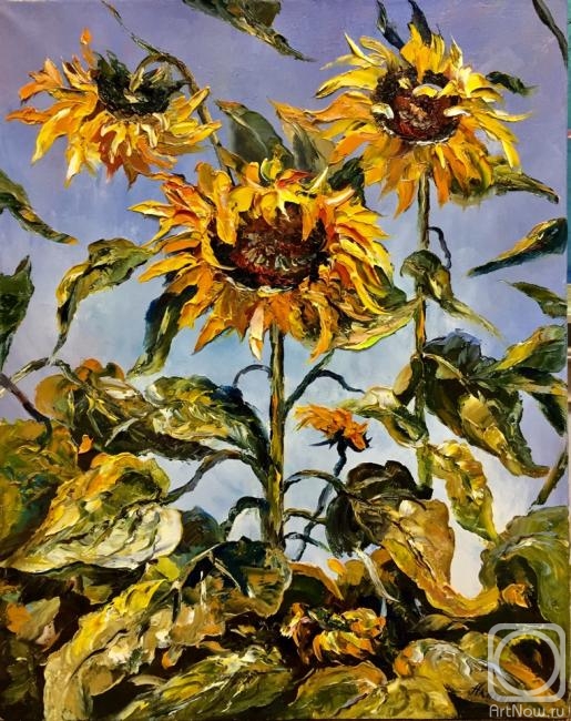 ������� ������ �� ������. ������� �������. ����