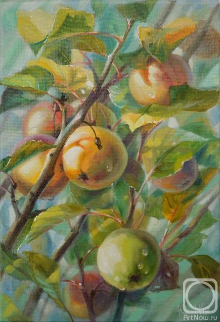 ������� ������ �� ������. ���������� ����. ����� � �����