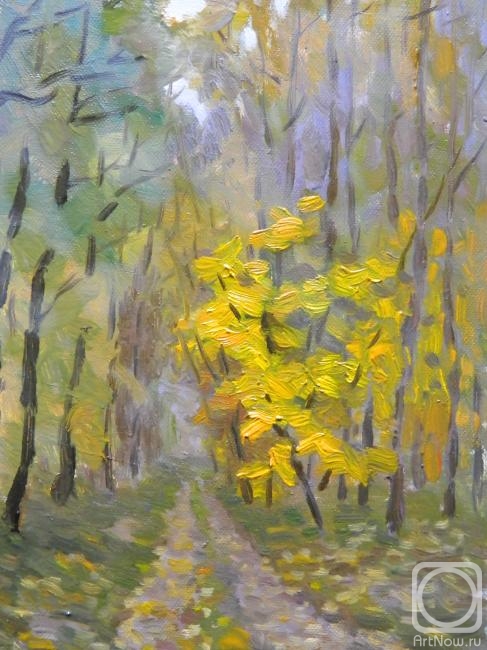 Popov Sergey. In the autumn forest