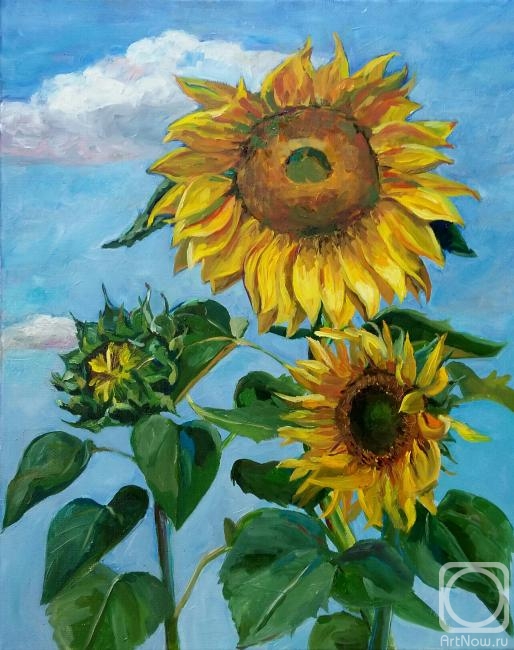 Veselkova Olga. Sunflowers