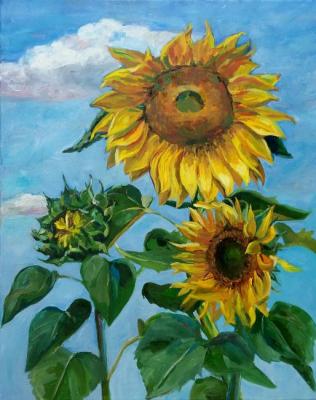 Sunflowers. Veselkova Olga