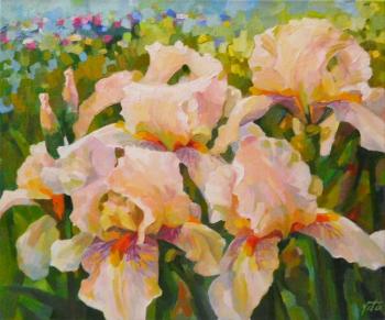 ����-�����. ������ ��������