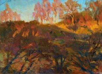 Autumn shadows. Biryukova Lyudmila