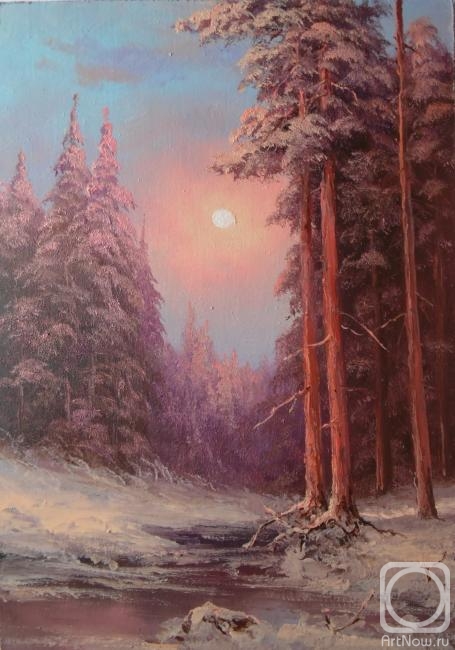Lyamin Nikolay. Winter forest, night