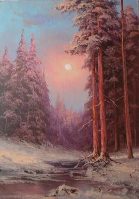 Winter forest, night
