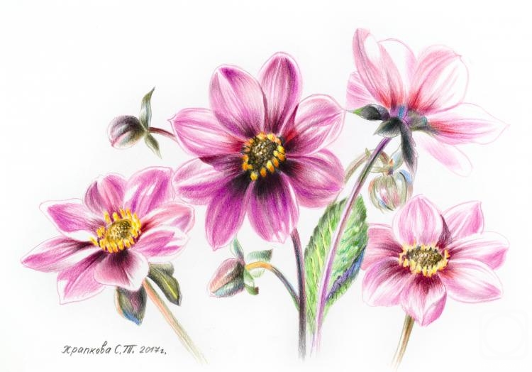 �������. �������� ��������. ��������