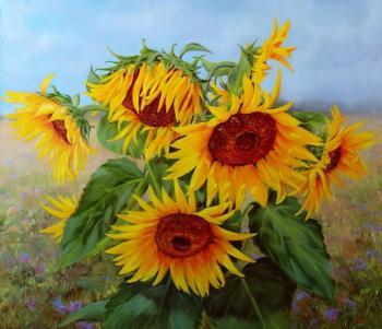 ������� �����������