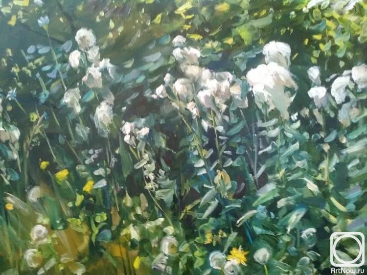 ������� ������ �� ������. ������� ������. ���� �������, ���������