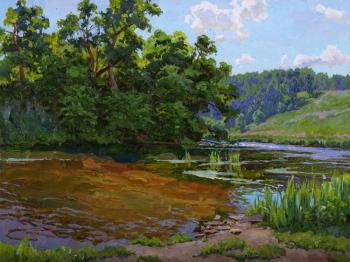 On the dam (). Panteleev Sergey