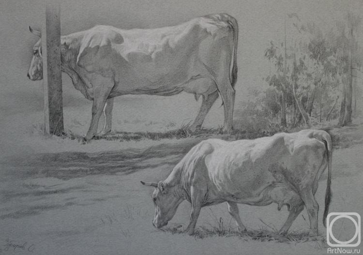 Zubarev Oleg. Sketch of a cow