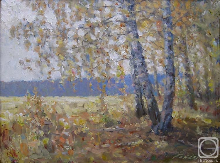 Gaiderov Michail. Forest edge