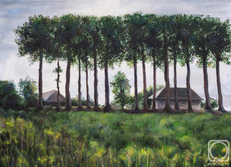 �������. ���������� �������. ��������� ���� � ���������