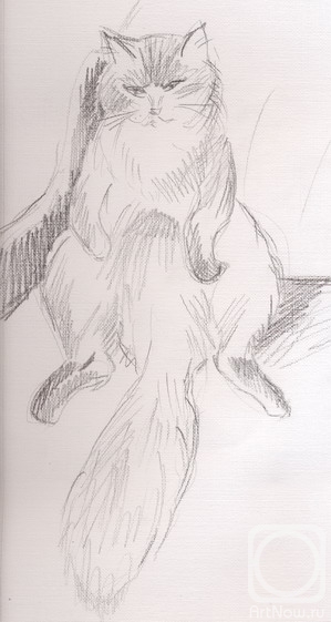 �������. ���� �����. ������ ���������