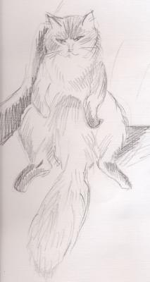 ������� ������� ���������