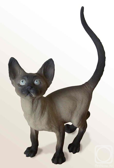 ������� �����. ���