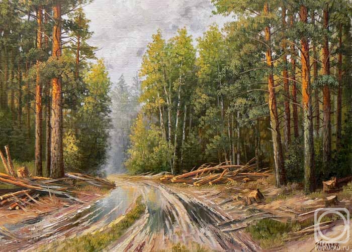 Yanulevich Henadzi. Road from deforestation