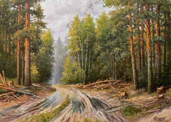 Road from deforestation. Yanulevich Henadzi