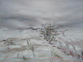 ����������� ������� ���������. ������ ����