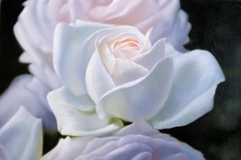White Rose. Karlikanov Vladimir