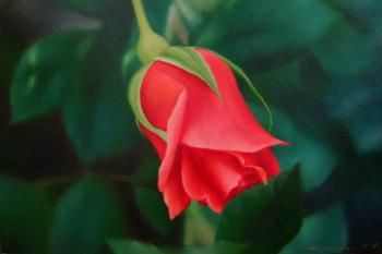 Rose flower. Pearl necklace. Karlikanov Vladimir