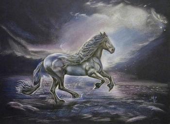 A horse in the moonlight. Zozoulia Maria