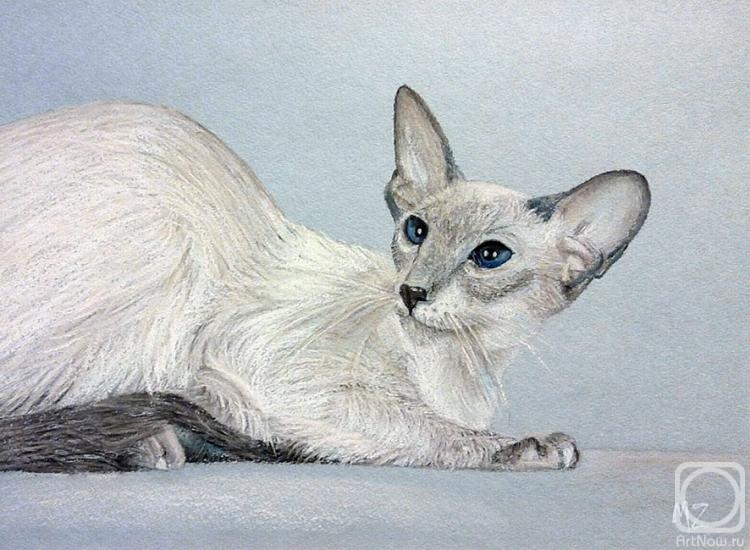 �������. ������ �����. �������������