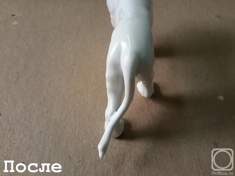 ������� �������. ����������� ������� � ��������