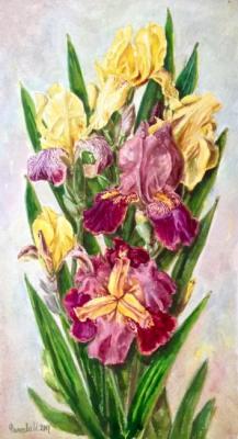 Bouquet of irises. Fateeva Irina