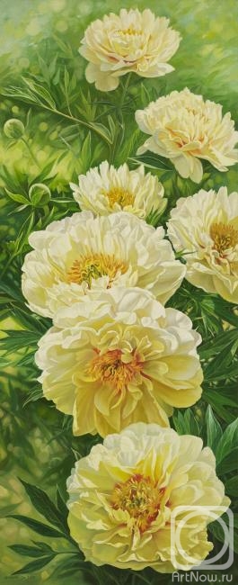 ������� ������ �� ������. ������ ������. �����