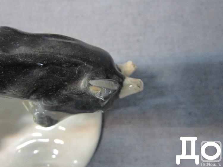 ������� �������. ����������� ������� � ��������