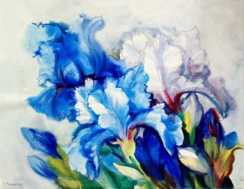 ������� ������ �����