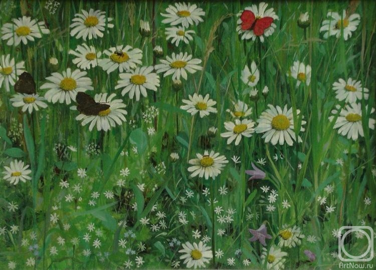 Alekseev Stanislav. Meadow daisies