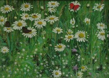 Meadow daisies. Alekseev Stanislav