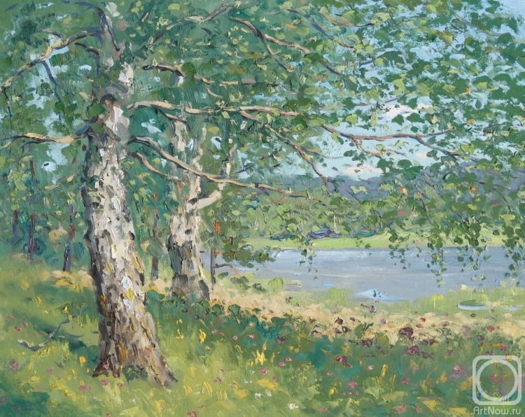 Alexandrovsky Alexander. Dychkovo birches, summer