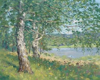 Dychkovo birches, summer