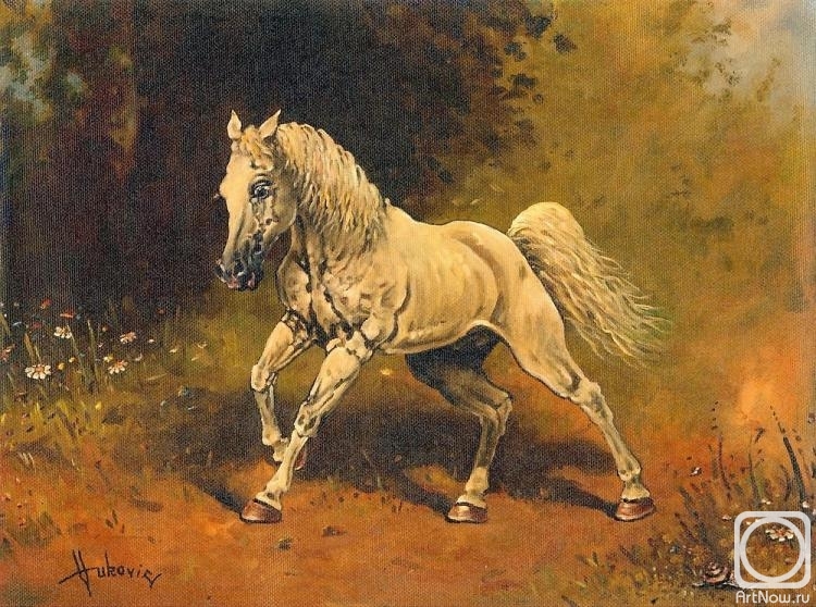 Vukovic Dusan. White Horse