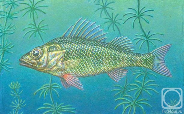 �������. ������� �������. ����� ������������