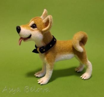 Shiba Inu (another angle)