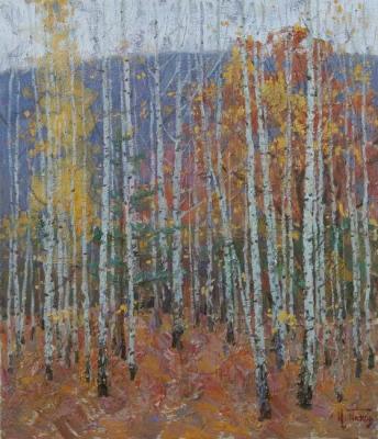 Autumn Birches