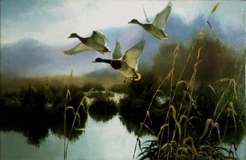 Morning In The Swamp (The Quietude). Fyodorov Vladymir