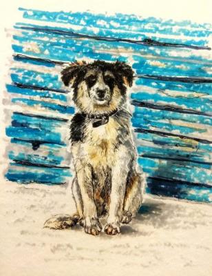 ������� ����