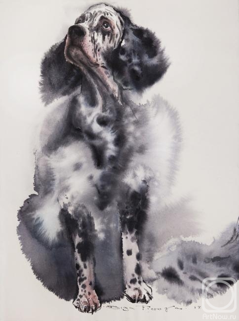 �������. ������ �����. �������