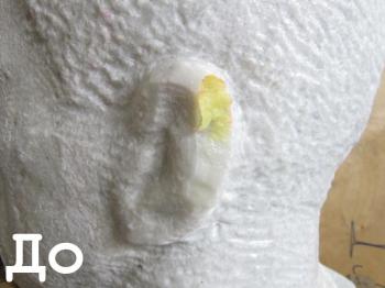 ����������� �����