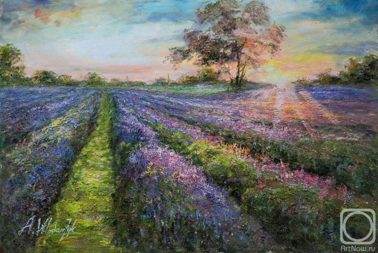 Vlodarchik Andjei. Sunset in lavender fields