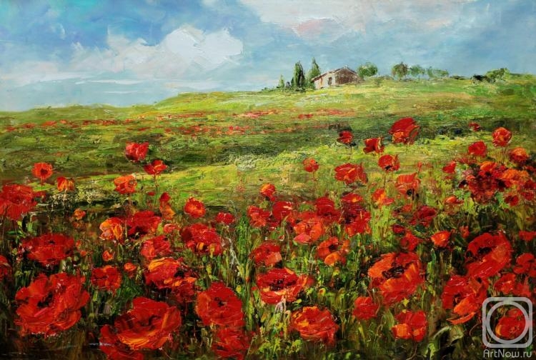 Vlodarchik Andjei. Among the poppy fields