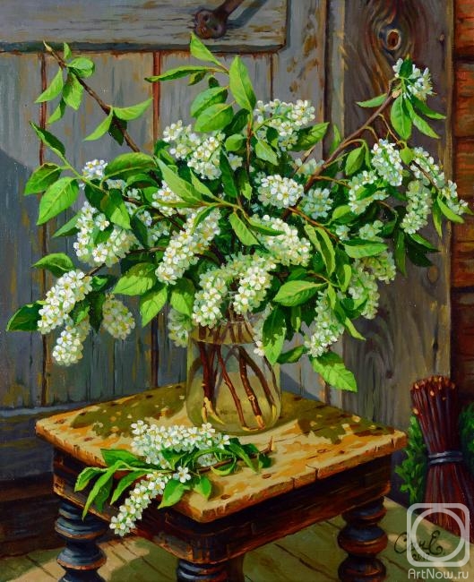 Sachenko Elena.  bouquet of bird-cherry